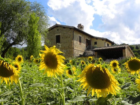 Appartamenti Verde Collina Umbra Apartment in Umbria