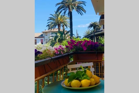 Mediterranean Luxurious Apartment Apartment in Monterosso al Mare