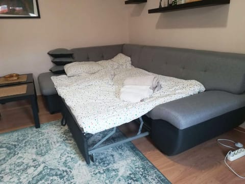 Bed, Living room, Seating area