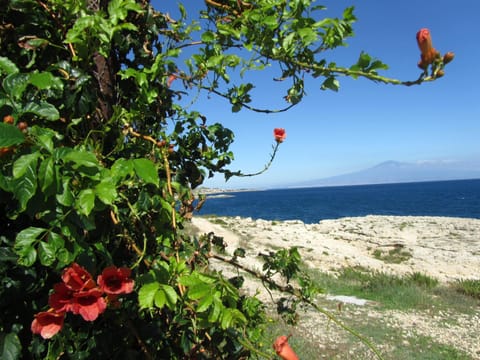Natural landscape, Sea view
