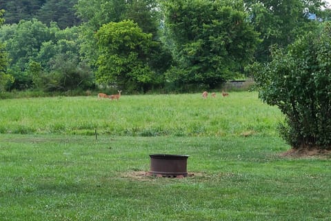 Cozy Family Home with Kayaks, Dock and Fire Pit! House in Shenandoah Valley
