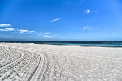 Apartment with Easy Access to Indian Rocks Beach! Apartment in Indian Rocks Beach