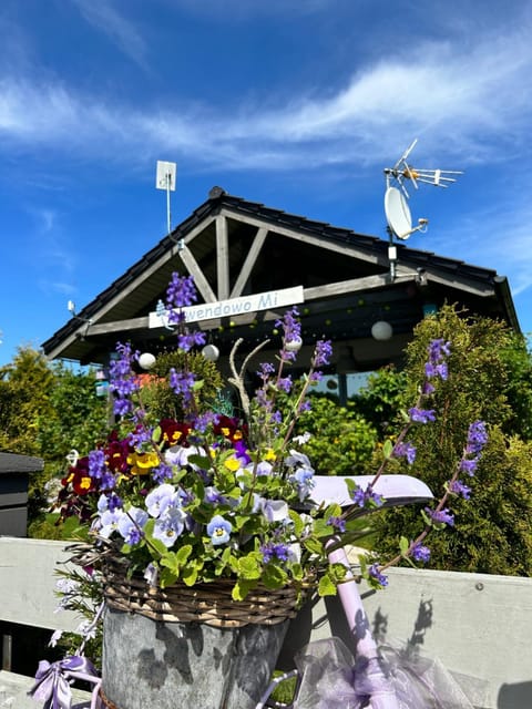 Apartament Różany Apartment in Pomeranian Voivodeship