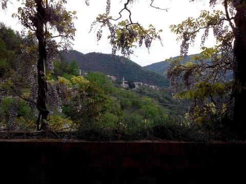 Natural landscape, Mountain view