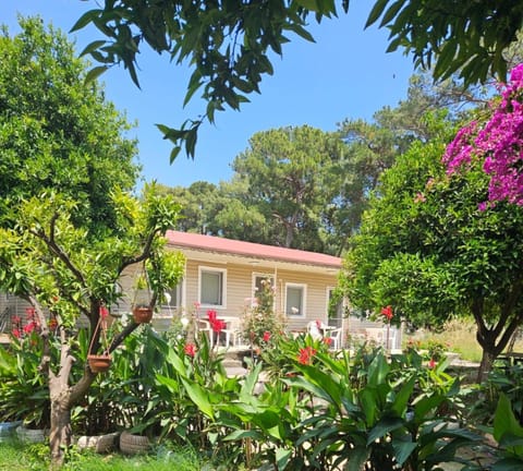 Property building, Day, Garden view