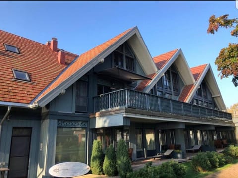 Cozy modern apartment with lagoon view Apartment in Klaipėda County, Lithuania