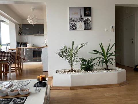 Kitchen or kitchenette, Living room, Seating area