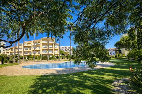 Garden, Swimming pool