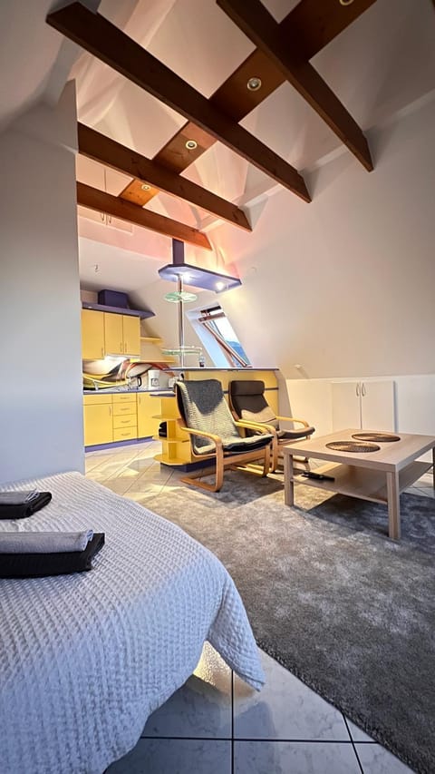 Bed, Kitchen or kitchenette, Living room, Photo of the whole room, Seating area