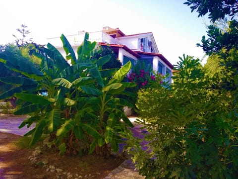 Property building, Summer, Garden
