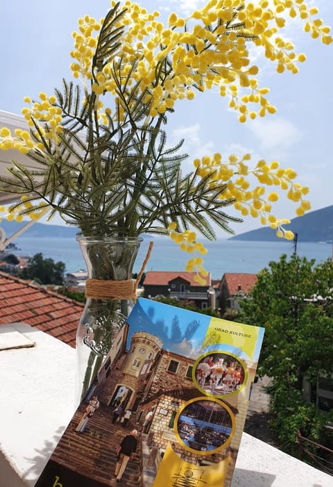 Balcony/Terrace, Mountain view, Sea view