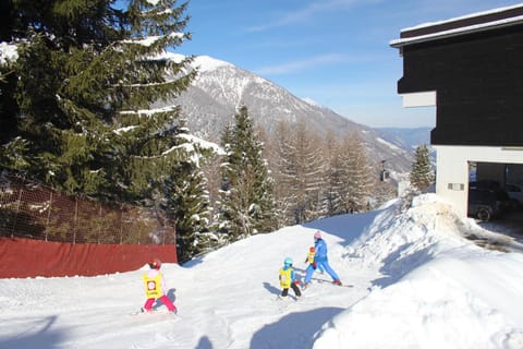 Winter, Skiing, Area and facilities