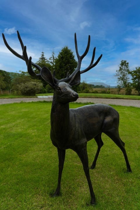 Killean Farmhouse B&B Bed and Breakfast in Scotland