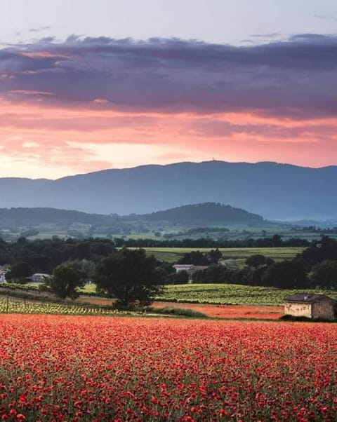 Nearby landmark, Natural landscape, Mountain view, Sunset