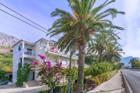 Patio, Facade/entrance