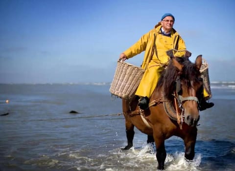 Cottage 213 in Sunparks Oostduinkerke with free parking and garden House in Koksijde