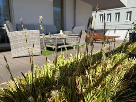 Miodowy Dom EXspanse Apartament 2 lub 3 pokoje z tarasem i parkingiem Apartment in West Pomeranian Voivodeship, Poland