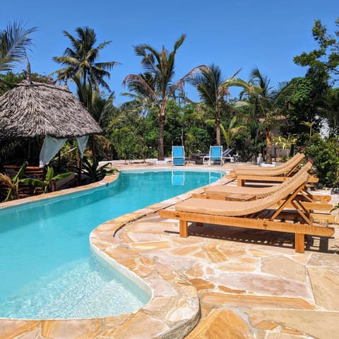Garden, Pool view, Swimming pool, sunbed
