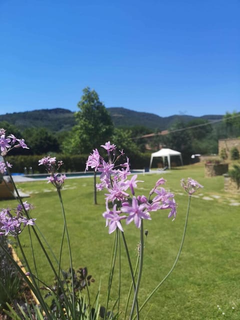 Alba Morus Bed & Breakfast, sentiti a casa nel cuore della Toscana Bed and Breakfast in Umbria
