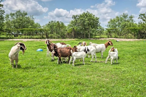 Gingerland Ranch in Del Valle Game Room and Porch House in Austin