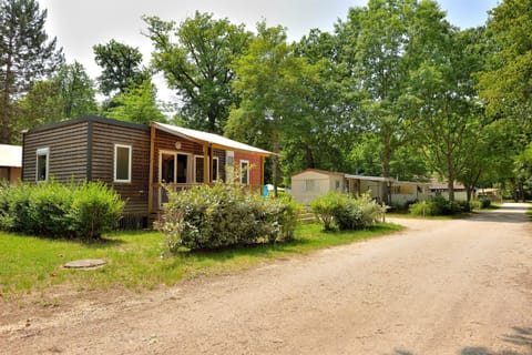 Natural landscape, Street view