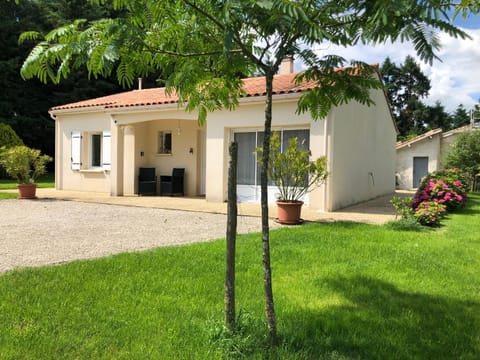 Natural landscape, Garden, Garden view