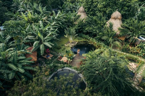 Natural landscape, Swimming pool