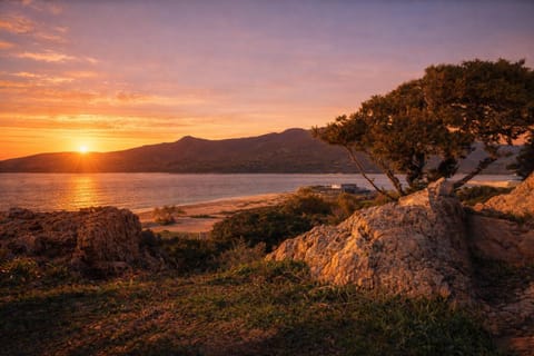 Boutique hôtel Château Rouher Hotel in Propriano