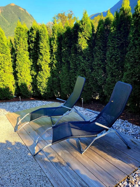 Patio, Mountain view, sunbed