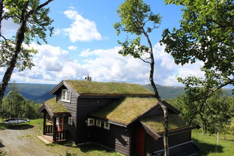 Property view