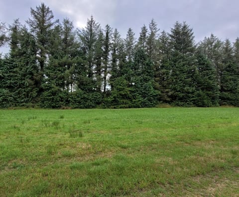 The Cosy Cabin Cabin in County Sligo