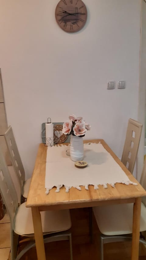 Sirmijum Hause Apartment in Vojvodina