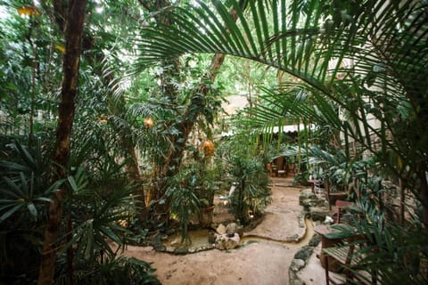 Natural landscape