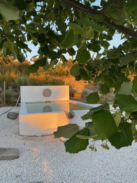 Garden, Swimming pool