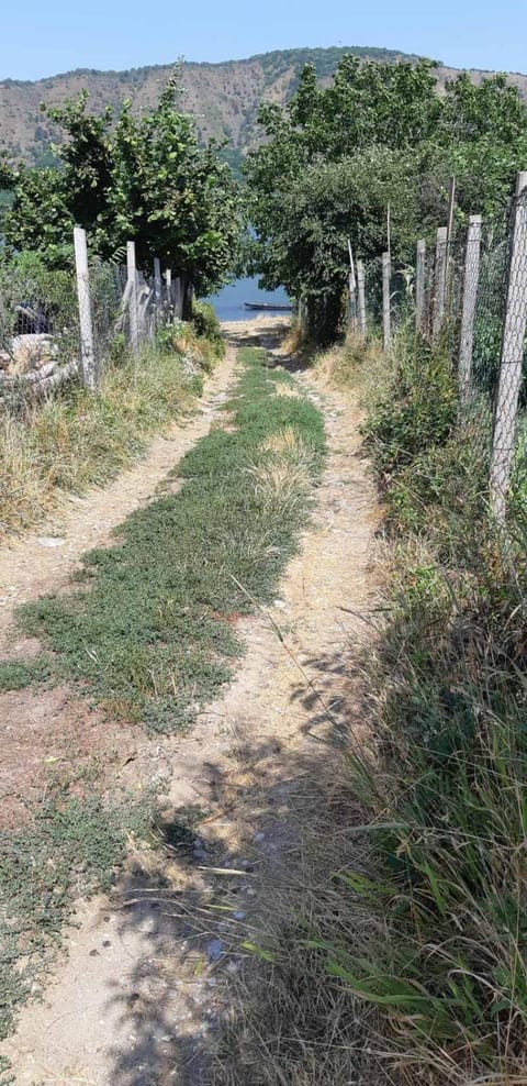 Vila Kozokic House in Serbia