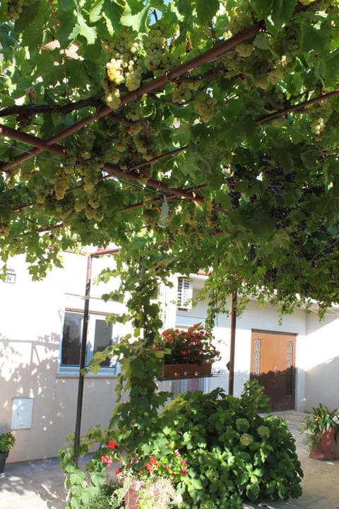 Lori Apartment in Fažana