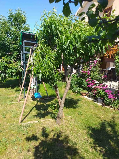 Children play ground