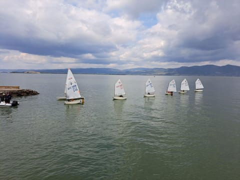 Apartment Rajic Apartment in Serbia