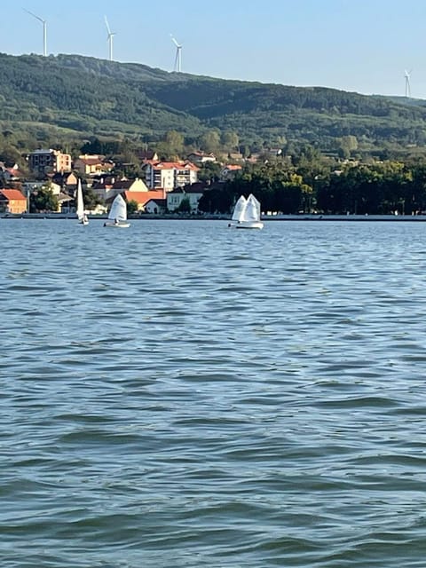 Apartment Rajic Apartment in Serbia