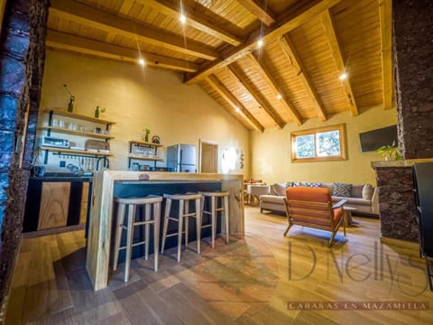 Living room, kitchen