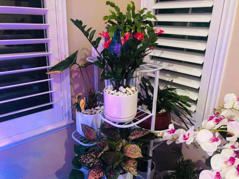 Balloons and Wine Vacation rental in Murrieta