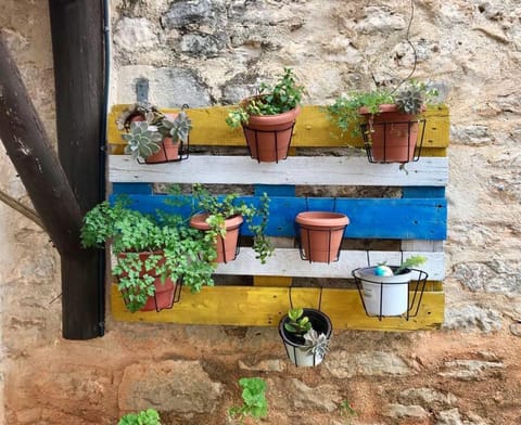 Day, Garden, Garden view