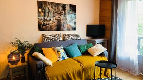 Appartement vue Montblanc 5mn piste1 Apartment in Les Houches