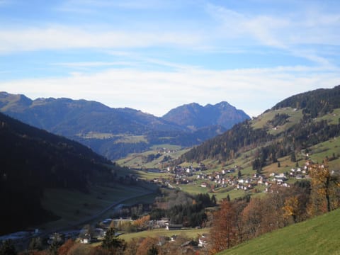 View (from property/room)