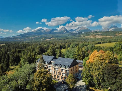 Property building, Bird's eye view