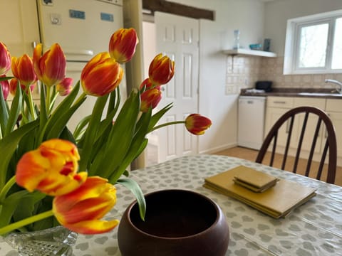 Kitchen or kitchenette, kitchen