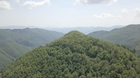 Parco Colle Fobia House in Emilia-Romagna