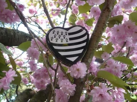 La Marine Louannec Vacation rental in Louannec