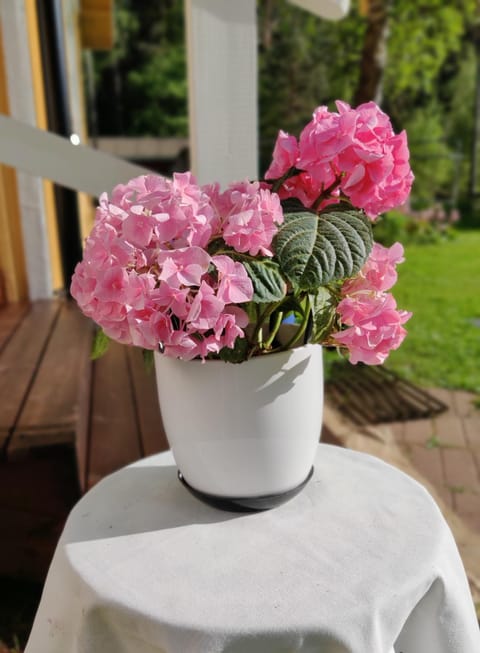 Haaran torppa Farm Stay in Finland