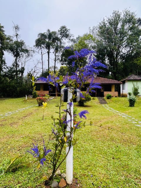 Natural landscape, Garden